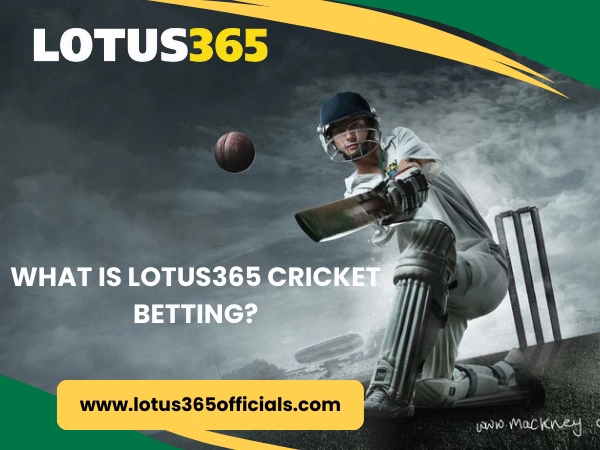 What Is Lotus365 Cricket Betting?